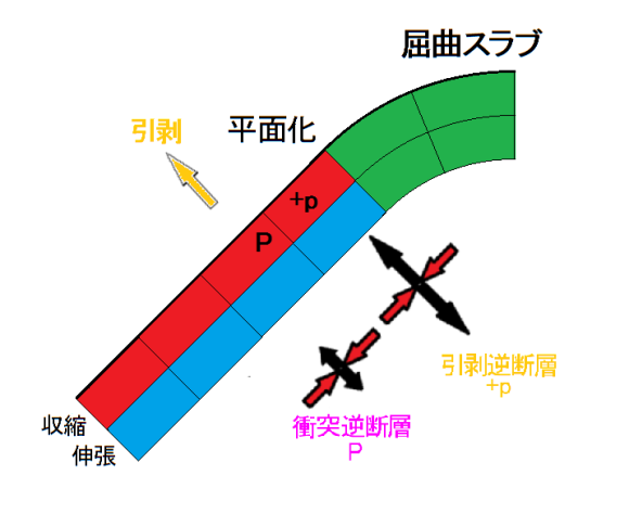 図100．平面化に伴う屈曲スラブの伸張・収縮と発震機構型． 綠色：平面化前の屈曲スラブ．黄色矢印：屈曲スラブを平面に引剥す深部スラブによる張力．青色：伸張層（深層），赤色：収縮層（浅層）．平面化では平面化位置の表層（赤色）で+p，P型地震が起る．黒矢印：引張主応力軸，赤矢印：圧縮主応力軸．発震機構型は図97による． 